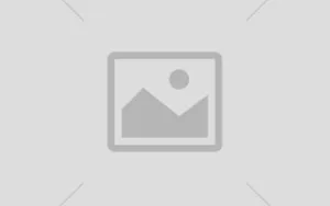 Fallback image
