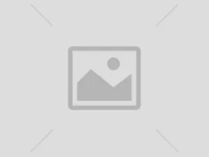 Fallback image